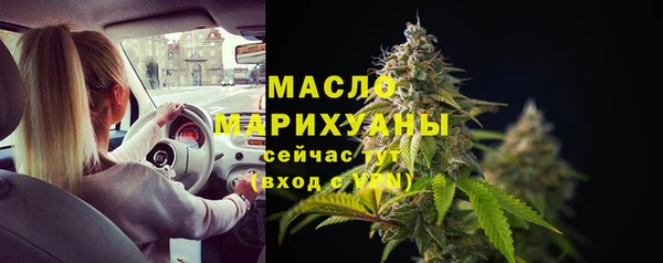 хмурый Новозыбков