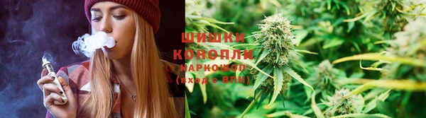 хмурый Новозыбков