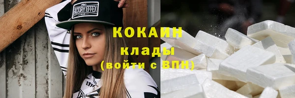 хмурый Новозыбков
