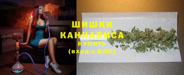 хмурый Новозыбков