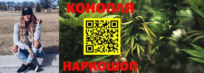 шишки Гусев